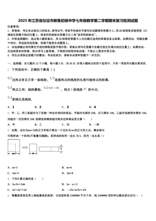 2025年江苏省仪征市新集初级中学七年级数学第二学期期末复习检测试题含解析