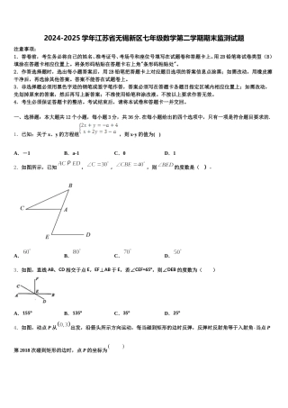2024-2025学年江苏省无锡新区七年级数学第二学期期末监测试题含解析