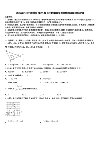 江苏省苏州市市辖区2025届七下数学期末质量跟踪监视模拟试题含解析