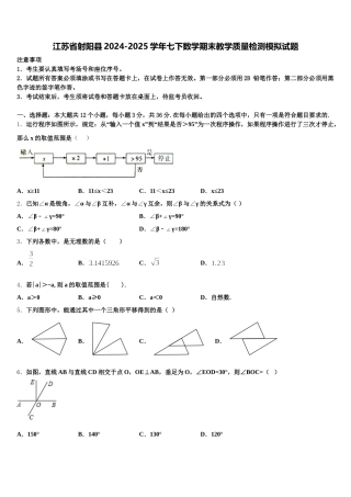 江苏省射阳县2024-2025学年七下数学期末教学质量检测模拟试题含解析