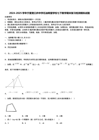 2024-2025学年宁夏宽口井中学石油希望学校七下数学期末复习检测模拟试题含解析