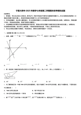 宁夏大附中2025年数学七年级第二学期期末统考模拟试题含解析