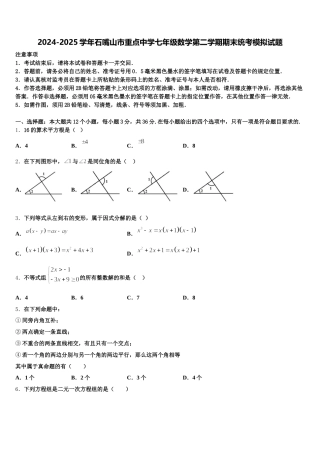 2024-2025学年石嘴山市重点中学七年级数学第二学期期末统考模拟试题含解析