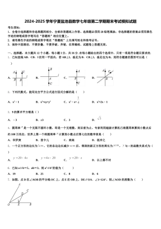 2024-2025学年宁夏盐池县数学七年级第二学期期末考试模拟试题含解析