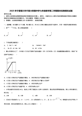 2025年宁夏银川市宁夏大附属中学七年级数学第二学期期末经典模拟试题含解析