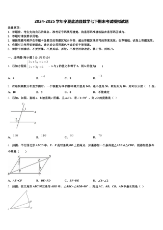 2024-2025学年宁夏盐池县数学七下期末考试模拟试题含解析