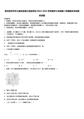 贵州省毕节市七星关区第三实验学校2024-2025学年数学七年级第二学期期末考试模拟试题含解析