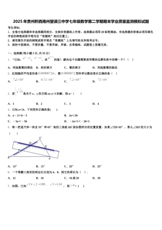 2025年贵州黔西南州望谟三中学七年级数学第二学期期末学业质量监测模拟试题含解析