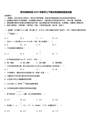 贵州省桐梓县2025年数学七下期末质量跟踪监视试题含解析