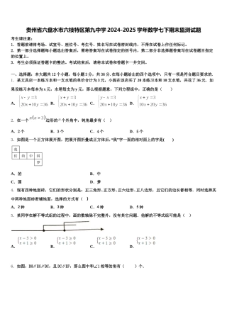 贵州省六盘水市六枝特区第九中学2024-2025学年数学七下期末监测试题含解析