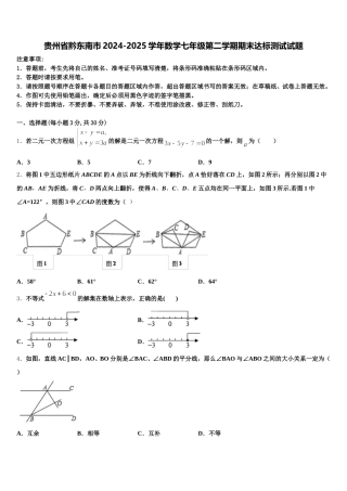 贵州省黔东南市2024-2025学年数学七年级第二学期期末达标测试试题含解析