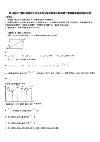 贵州省兴仁县黔龙学校2024-2025学年数学七年级第二学期期末监测模拟试题含解析