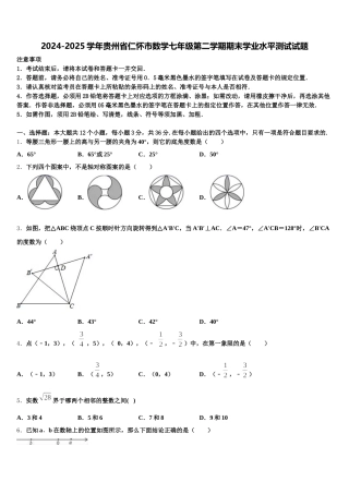 2024-2025学年贵州省仁怀市数学七年级第二学期期末学业水平测试试题含解析