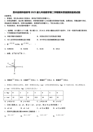 贵州省桐梓县联考2025届七年级数学第二学期期末质量跟踪监视试题含解析