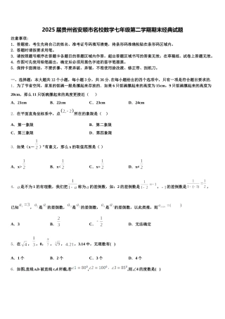 2025届贵州省安顺市名校数学七年级第二学期期末经典试题含解析