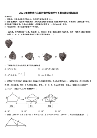 2025年贵州省兴仁县黔龙学校数学七下期末调研模拟试题含解析