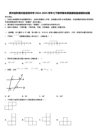 贵州省黔南州瓮安四中学2024-2025学年七下数学期末质量跟踪监视模拟试题含解析