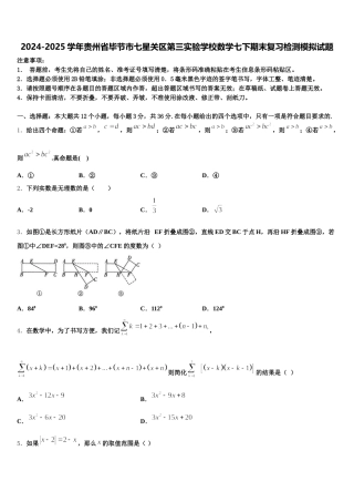 2024-2025学年贵州省毕节市七星关区第三实验学校数学七下期末复习检测模拟试题含解析