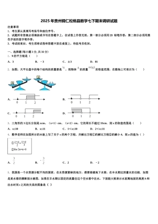2025年贵州铜仁松桃县数学七下期末调研试题含解析