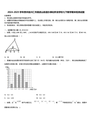 2024-2025学年贵州省兴仁市真武山街道办事处黔龙学校七下数学期末检测试题含解析
