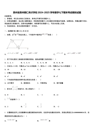 贵州省贵州铜仁伟才学校2024-2025学年数学七下期末考试模拟试题含解析