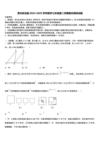贵州安龙县2024-2025学年数学七年级第二学期期末调研试题含解析
