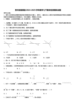 贵州省施秉县2024-2025学年数学七下期末检测模拟试题含解析