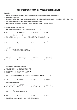 贵州省安顺市名校2025年七下数学期末质量检测试题含解析