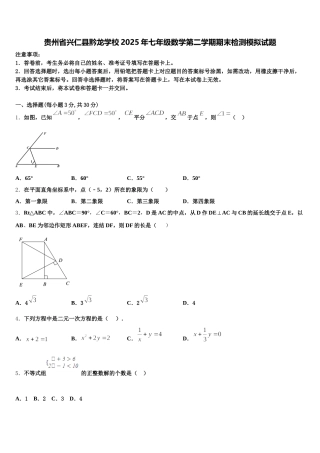 贵州省兴仁县黔龙学校2025年七年级数学第二学期期末检测模拟试题含解析