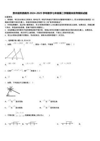 贵州省黔西南市2024-2025学年数学七年级第二学期期末统考模拟试题含解析