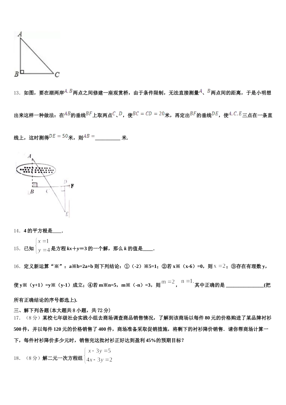 贵州罗甸民族中学2025届七下数学期末学业质量监测模拟试题含解析_第3页