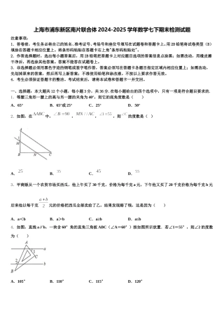 上海市浦东新区南片联合体2024-2025学年数学七下期末检测试题含解析