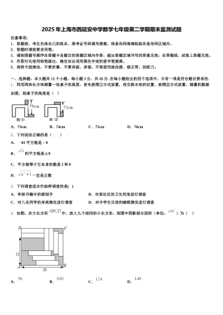 2025年上海市西延安中学数学七年级第二学期期末监测试题含解析