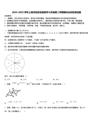 2024-2025学年上海市延安实验数学七年级第二学期期末达标检测试题含解析