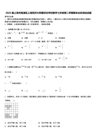 2025届上海市杨浦区上海同济大附属存志学校数学七年级第二学期期末达标测试试题含解析