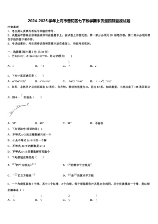 2024-2025学年上海市普陀区七下数学期末质量跟踪监视试题含解析