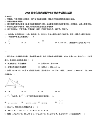 2025届华东师大版数学七下期末考试模拟试题含解析