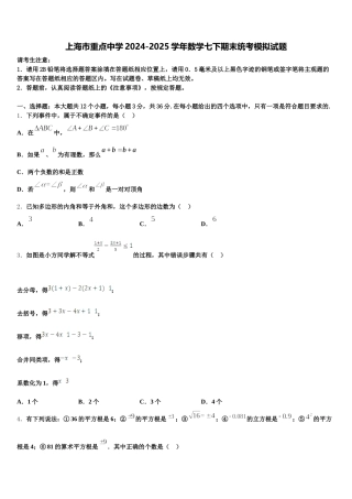 上海市重点中学2024-2025学年数学七下期末统考模拟试题含解析