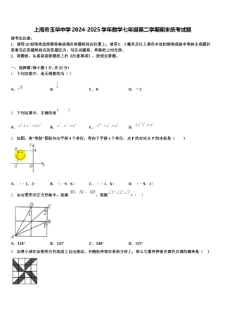 上海市玉华中学2024-2025学年数学七年级第二学期期末统考试题含解析