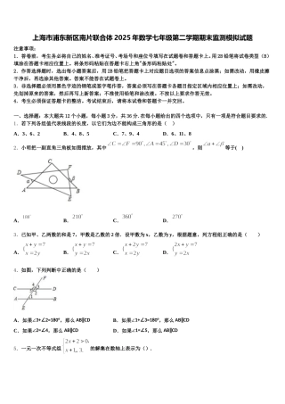 上海市浦东新区南片联合体2025年数学七年级第二学期期末监测模拟试题含解析