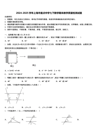 2024-2025学年上海市重点中学七下数学期末教学质量检测试题含解析