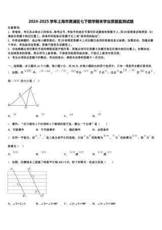 2024-2025学年上海市黄浦区七下数学期末学业质量监测试题含解析