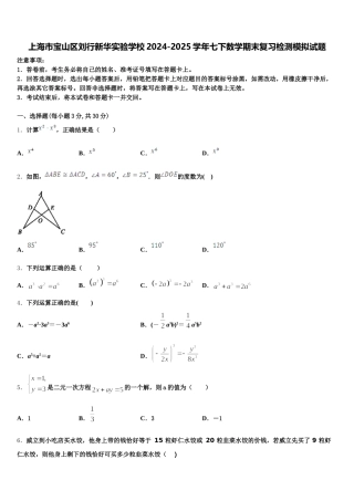 上海市宝山区刘行新华实验学校2024-2025学年七下数学期末复习检测模拟试题含解析