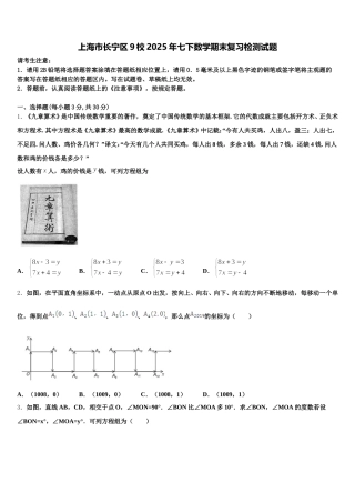 上海市长宁区9校2025年七下数学期末复习检测试题含解析
