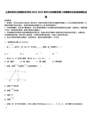 上海市同济大附属存志学校2024-2025学年七年级数学第二学期期末达标检测模拟试题含解析