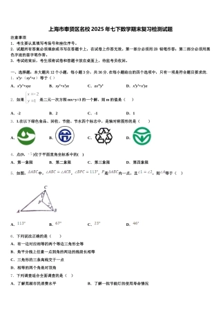 上海市奉贤区名校2025年七下数学期末复习检测试题含解析