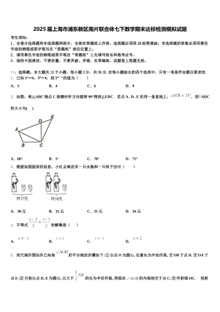 2025届上海市浦东新区南片联合体七下数学期末达标检测模拟试题含解析