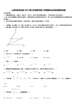 上海市延安实验2025届七年级数学第二学期期末达标检测模拟试题含解析