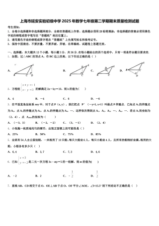 上海市延安实验初级中学2025年数学七年级第二学期期末质量检测试题含解析