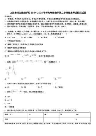 上海市张江集团学校2024-2025学年七年级数学第二学期期末考试模拟试题含解析